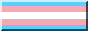 trans trans